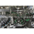 Automatic Bottle Rinsing Filling Capping Machine